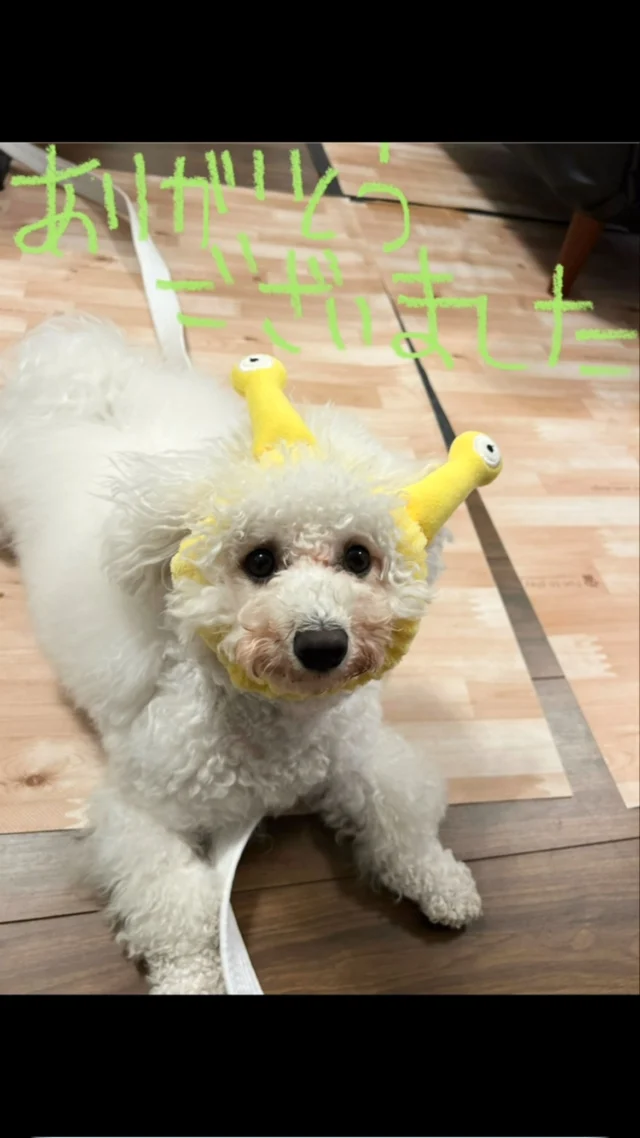#ありがとうございます 
#感謝
#PoPYuMMyの可愛いお客様🩷
#5月